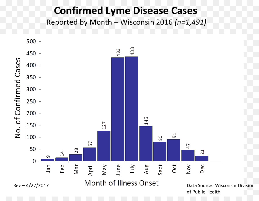 La Enfermedad De Lyme，La Enfermedad PNG