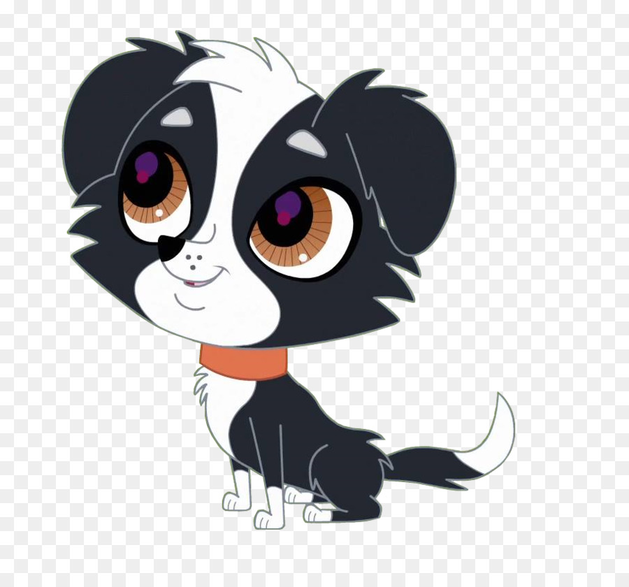 Cachorro，Border Collie PNG