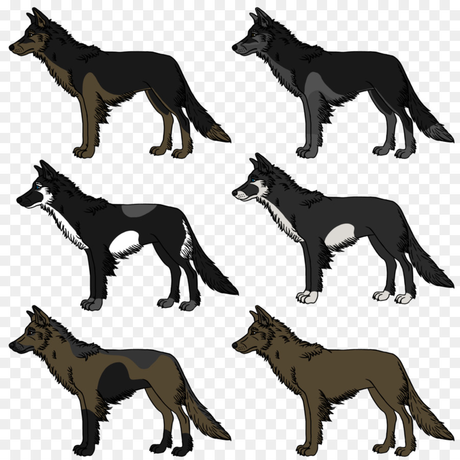 Raza De Perro，Perro PNG