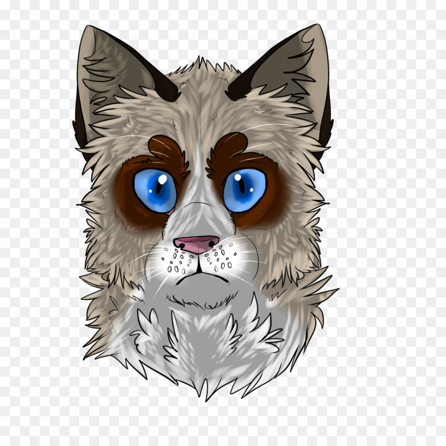 Gato，Ojos Azules PNG