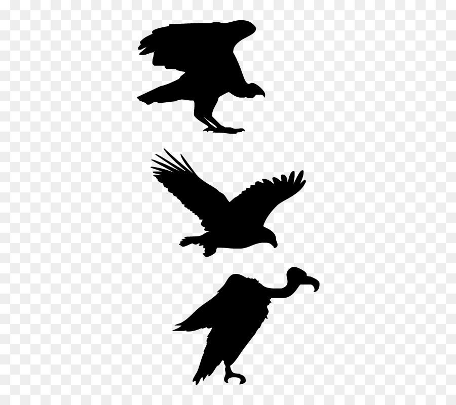 Siluetas De Aves，Vuelo PNG