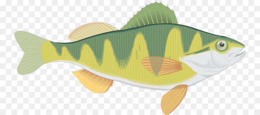 Blog，Los Peces PNG