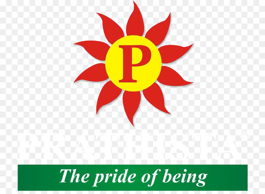 Prathista Industries Limited，Negocio PNG