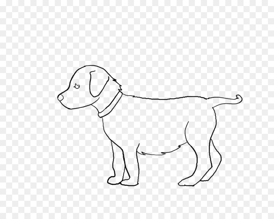 Labrador Retriever，Cachorro PNG