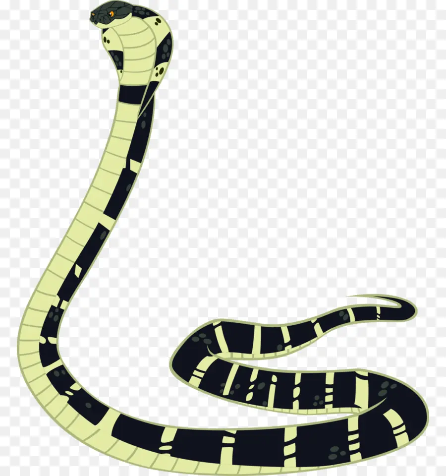 Las Cobras，La Serpiente PNG