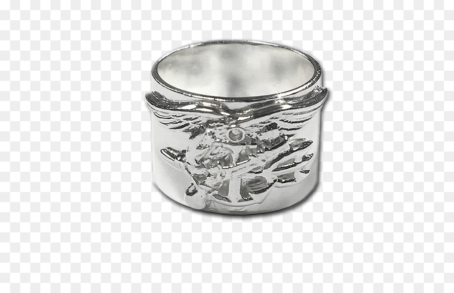 Plata，Anillo PNG