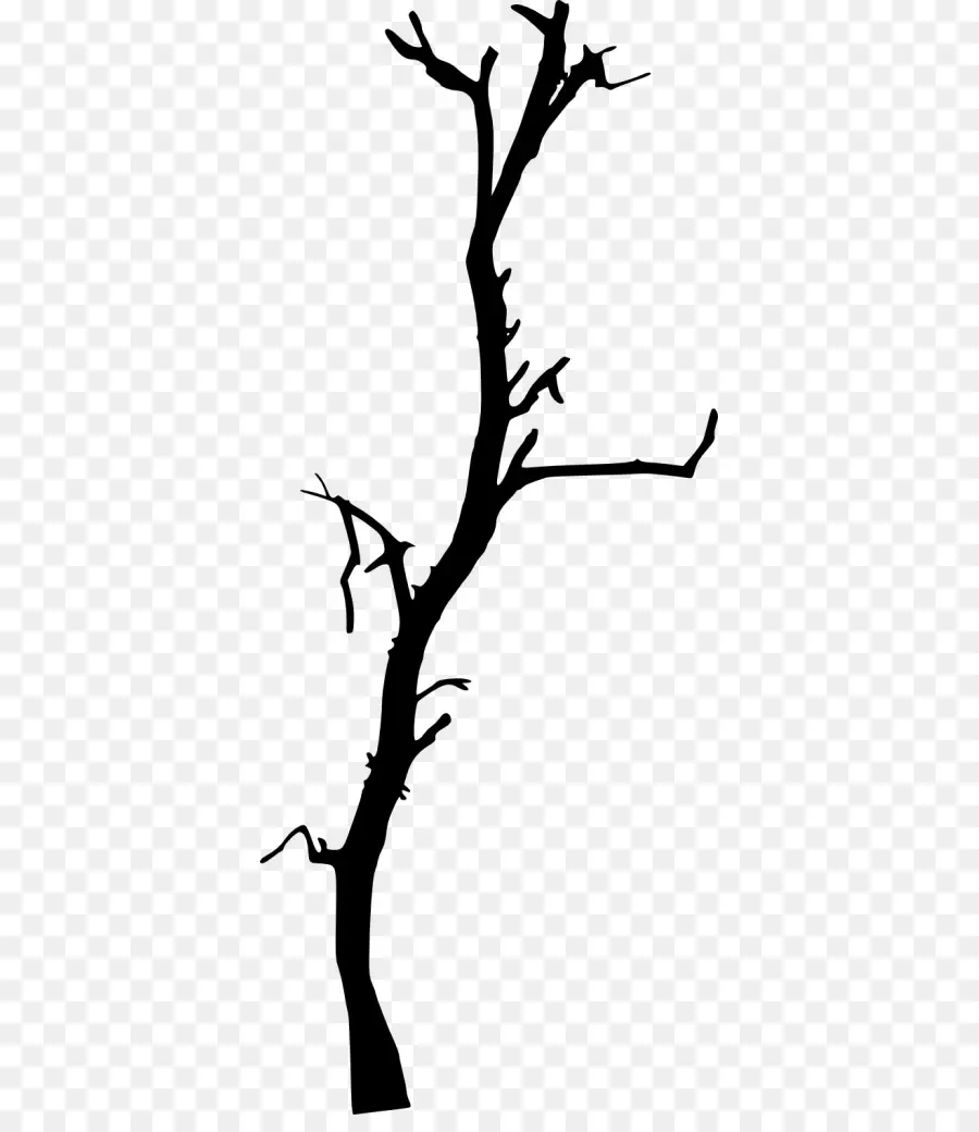 Ramita，Árbol PNG