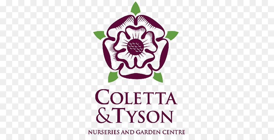 Coletta Tyson Centro De Jardinería，Colletta Tyson PNG