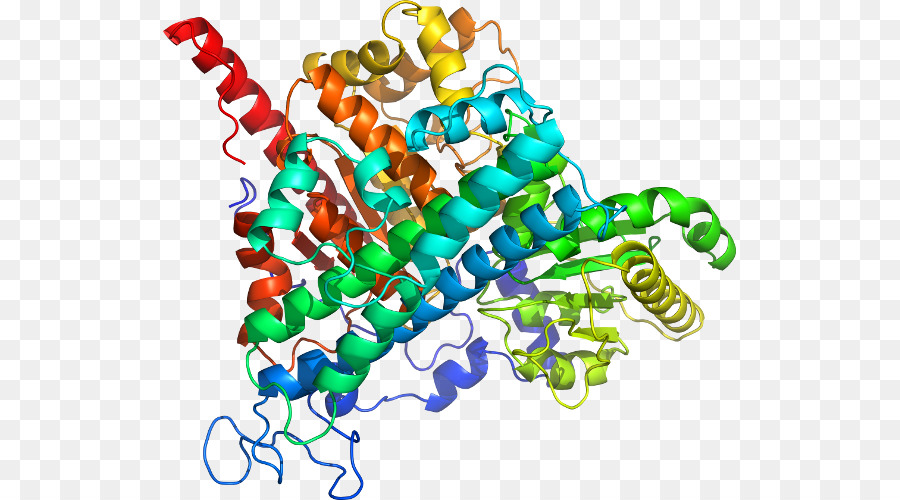 Arte，El Cuerpo De La Joyería PNG