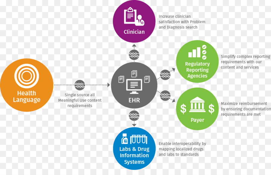 Infografía，Información PNG