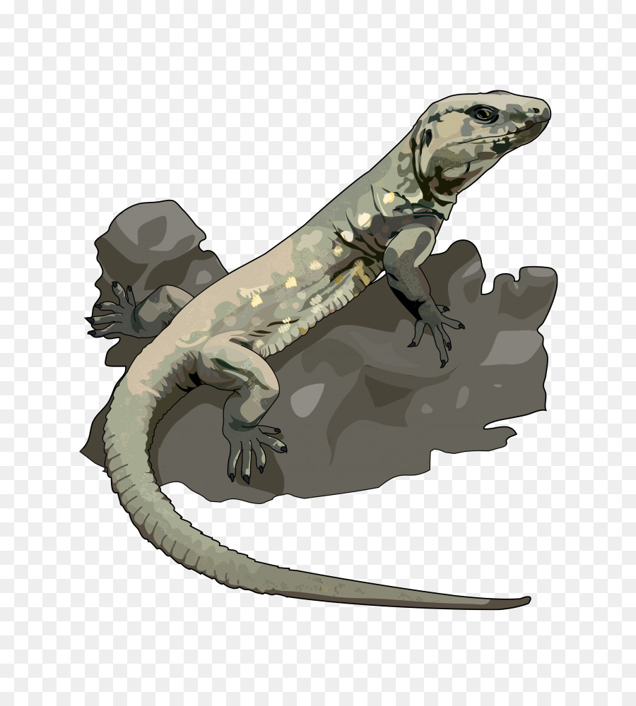 Lagarto，Reptil PNG