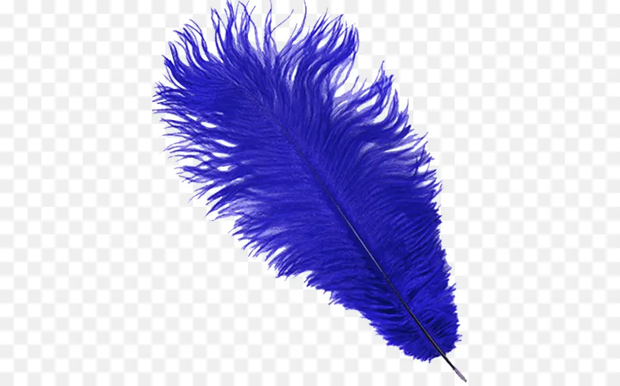 Pluma，Azul PNG