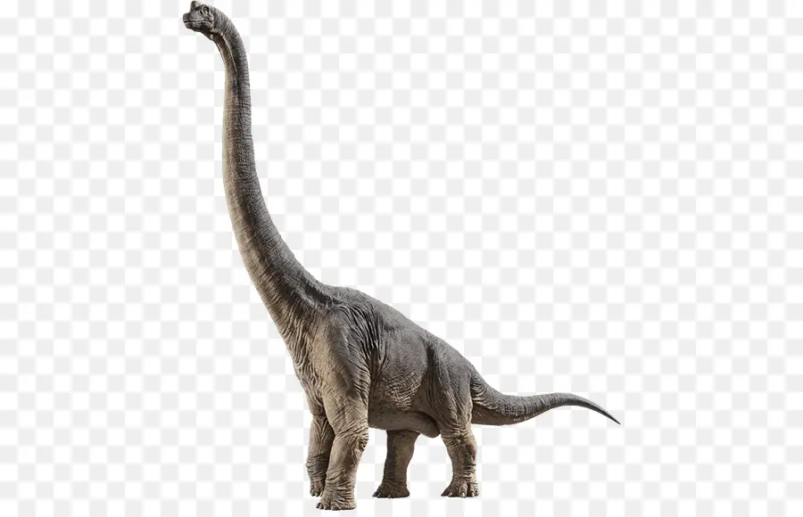 Brachiosaurus，Jurassic Park Builder PNG