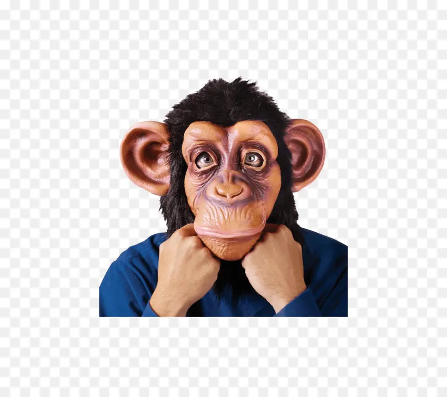 Chimpancé，Mascarilla PNG