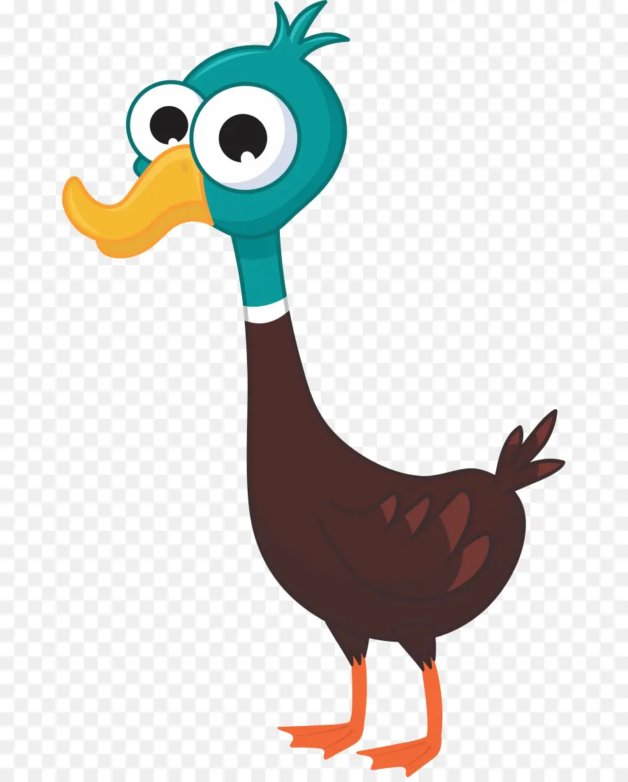 Pato De Dibujos Animados，Pato PNG