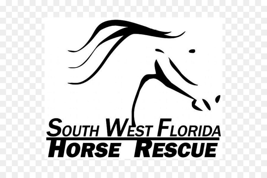 Caballo，Al Sur Oeste De La Florida Horse Rescue Inc PNG