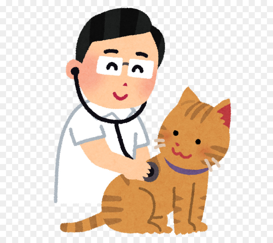 Veterinario Con Gato，Doctor PNG