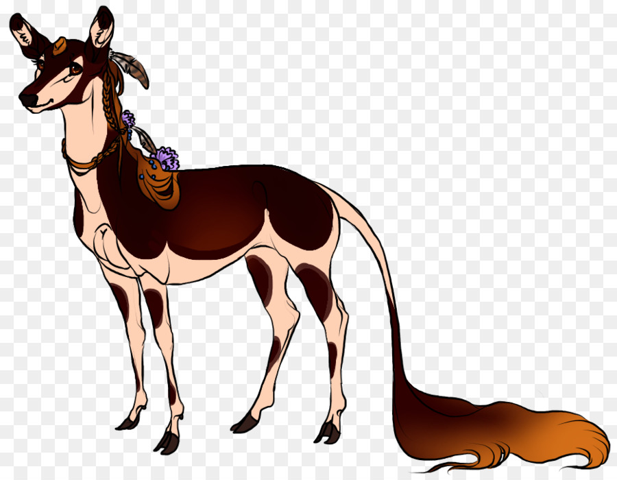 Mustang，Burro PNG