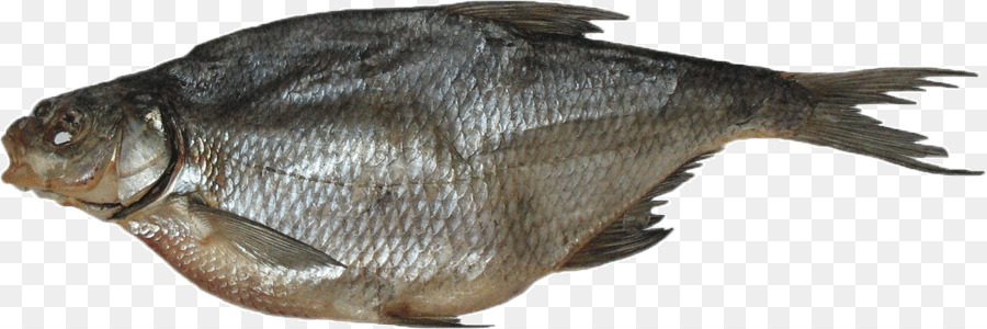 Los Peces，Común Brema PNG