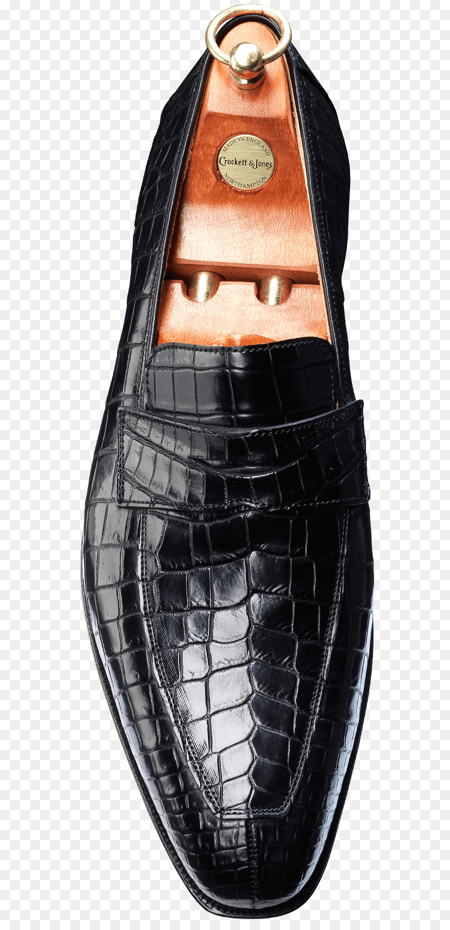 Zapato，Cocodrilo PNG