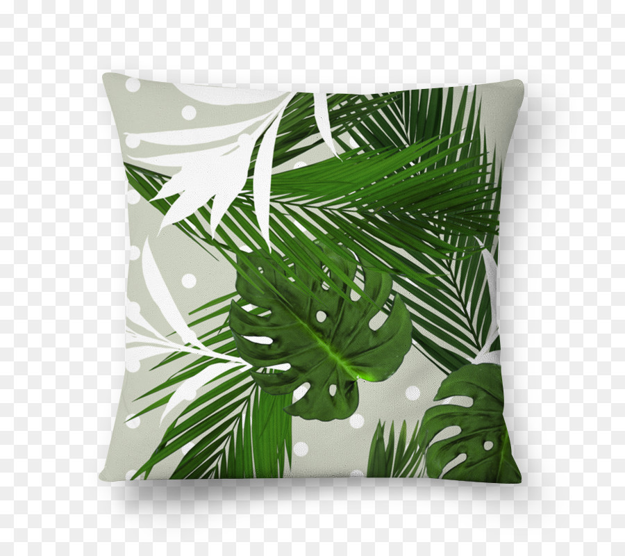 Hoja，Arecaceae PNG