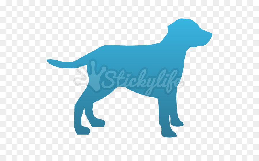 Labrador Retriever，Cachorro PNG