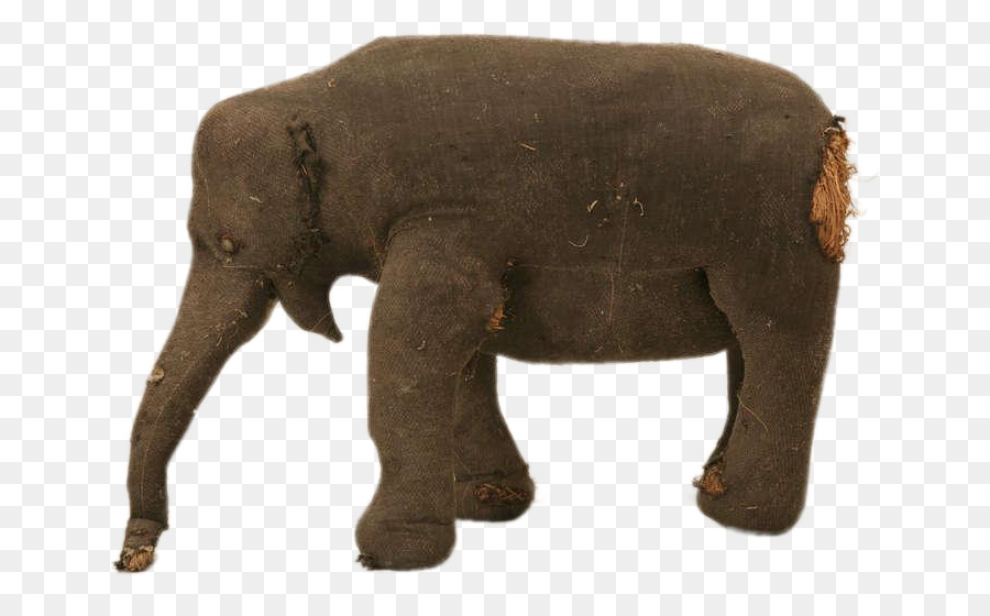 Elefante Indio，El Elefante Africano PNG