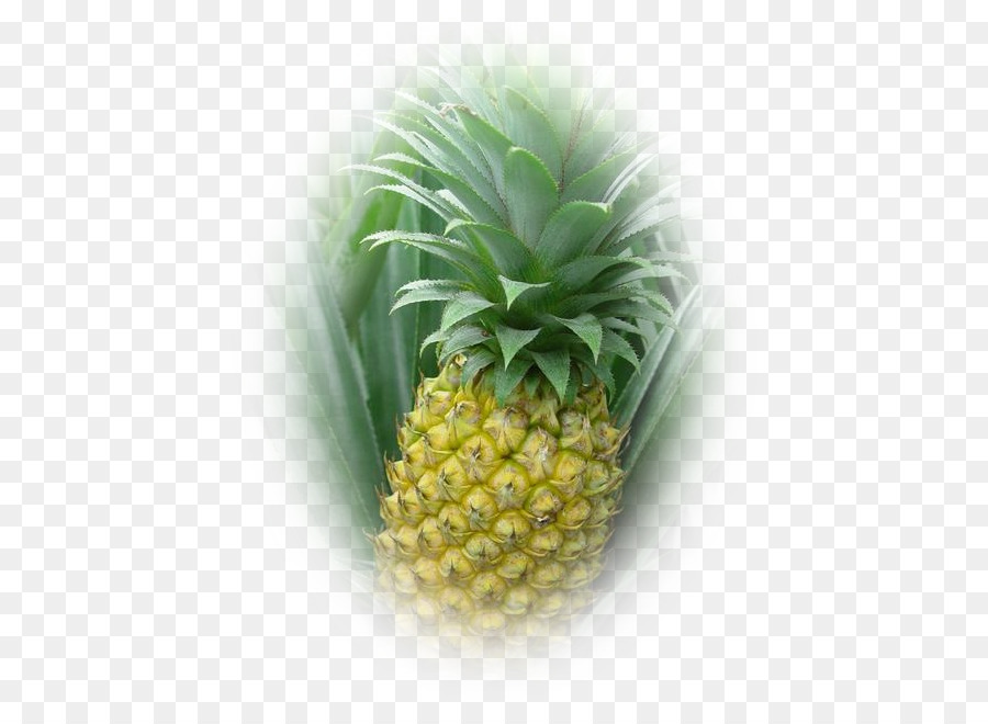 Piña，Papaya PNG