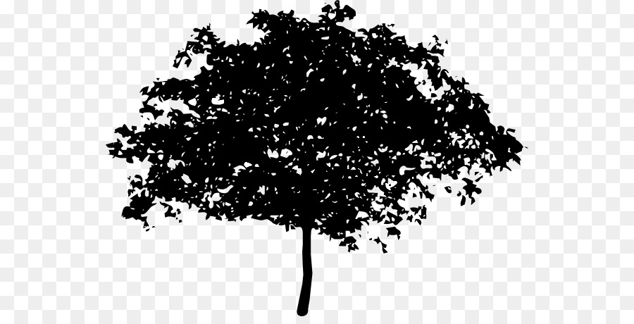 Árbol，Roble PNG