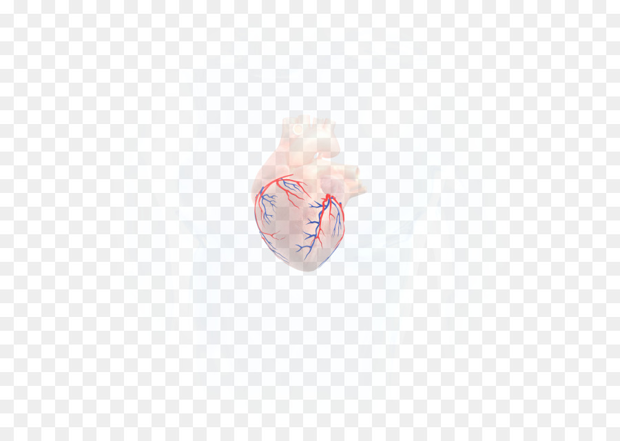 El Cuerpo De La Joyería，Primer Plano PNG