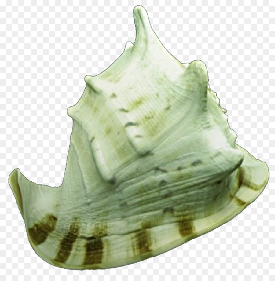 Shankha，La Concha PNG