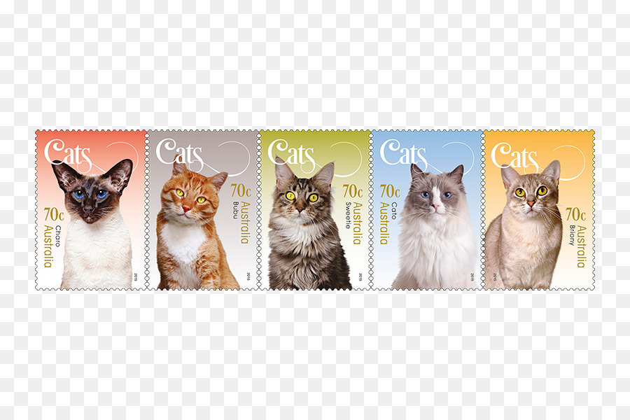 Gatito，Sellos De Correos PNG