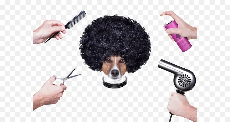 Peluquería Canina，Corte De Pelo PNG