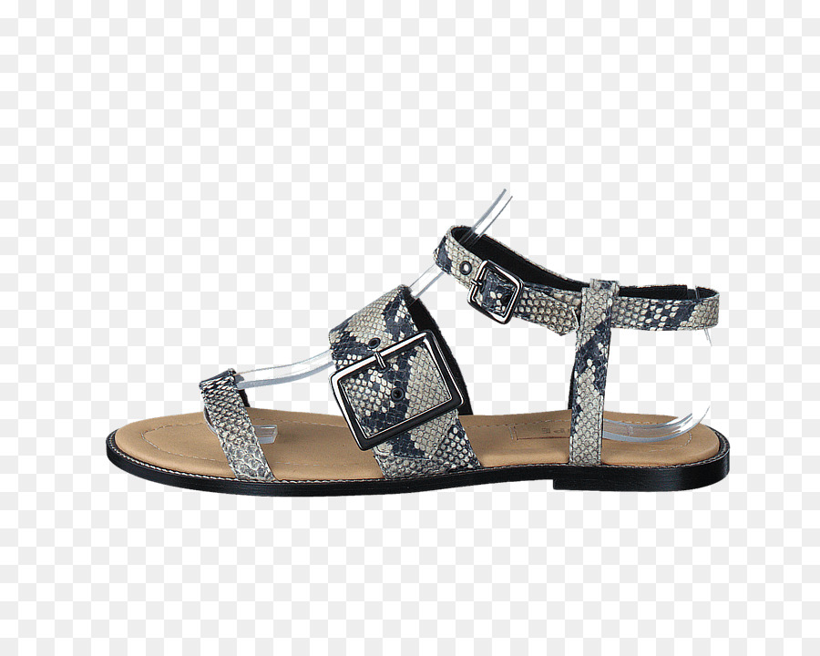 Zapatilla，Sandalia PNG