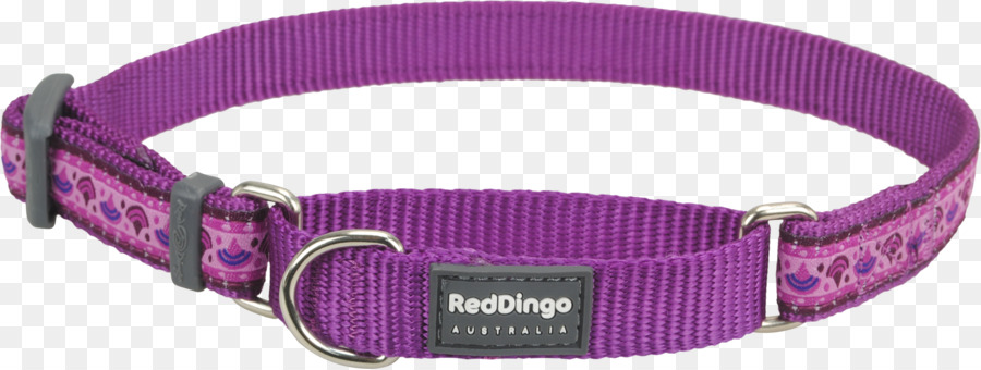 Perro，Collar De Perro PNG