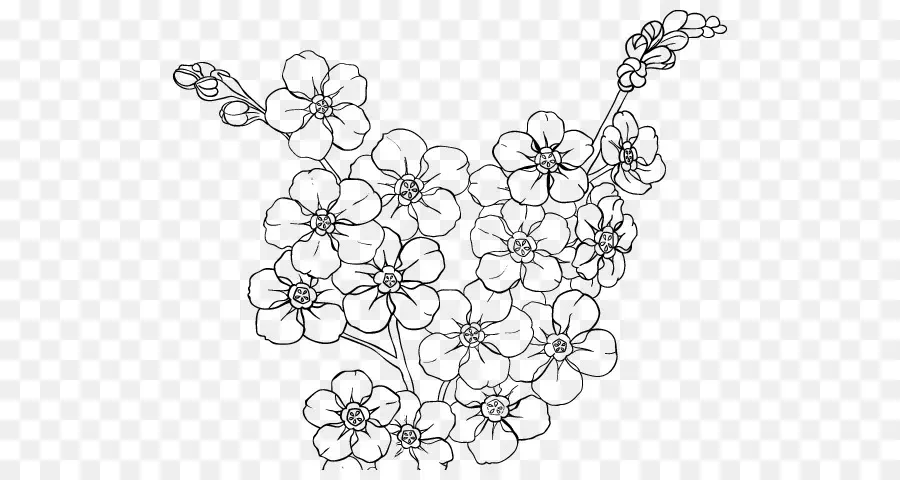 Dibujo，Diseño Floral PNG