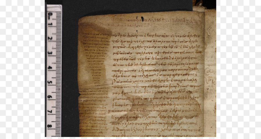 Manuscrito Voynich，Manuscrito PNG