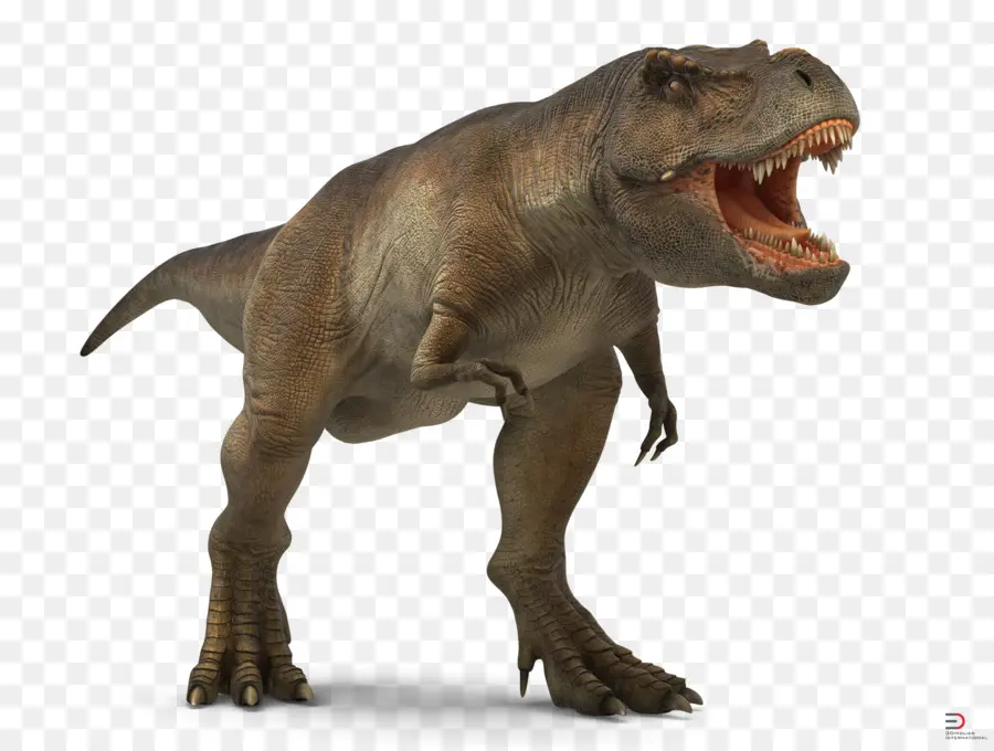 Tyrannosaurus，3d Infografías PNG