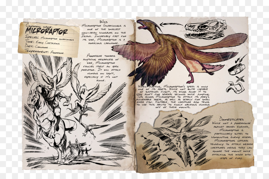 Arca De Supervivencia Evolucionado，Microraptor PNG
