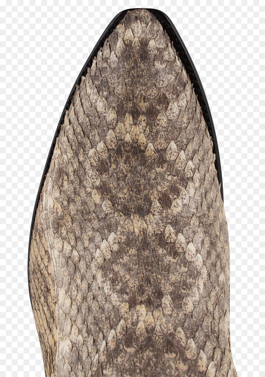 Zapato， PNG