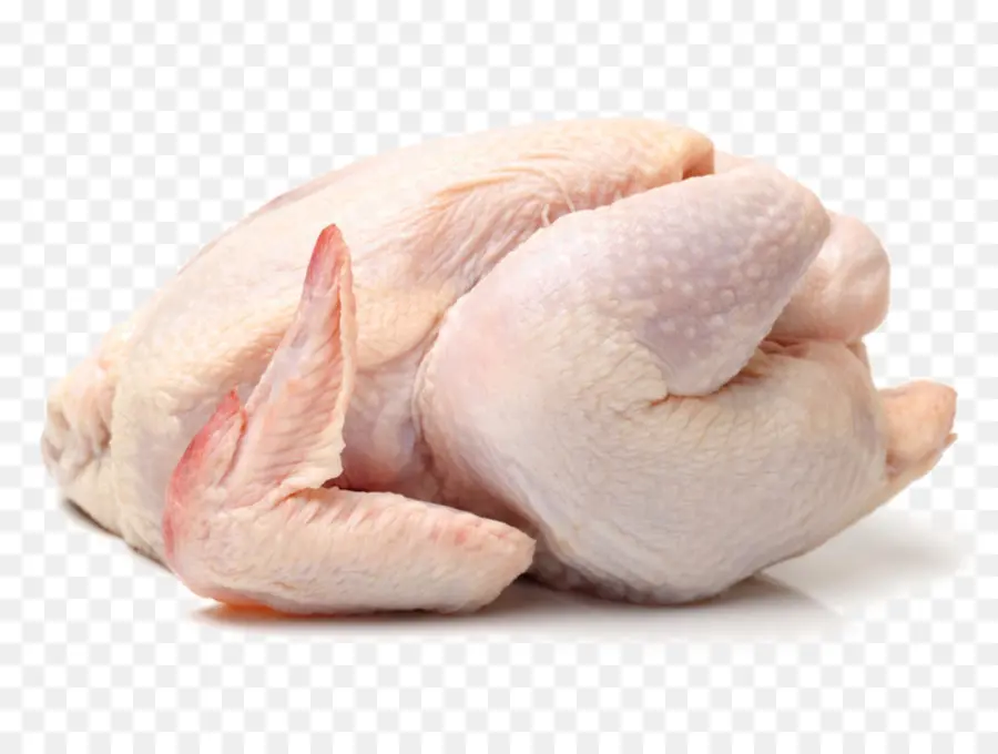 De Pollos De Engorde，Cornish Pollo PNG