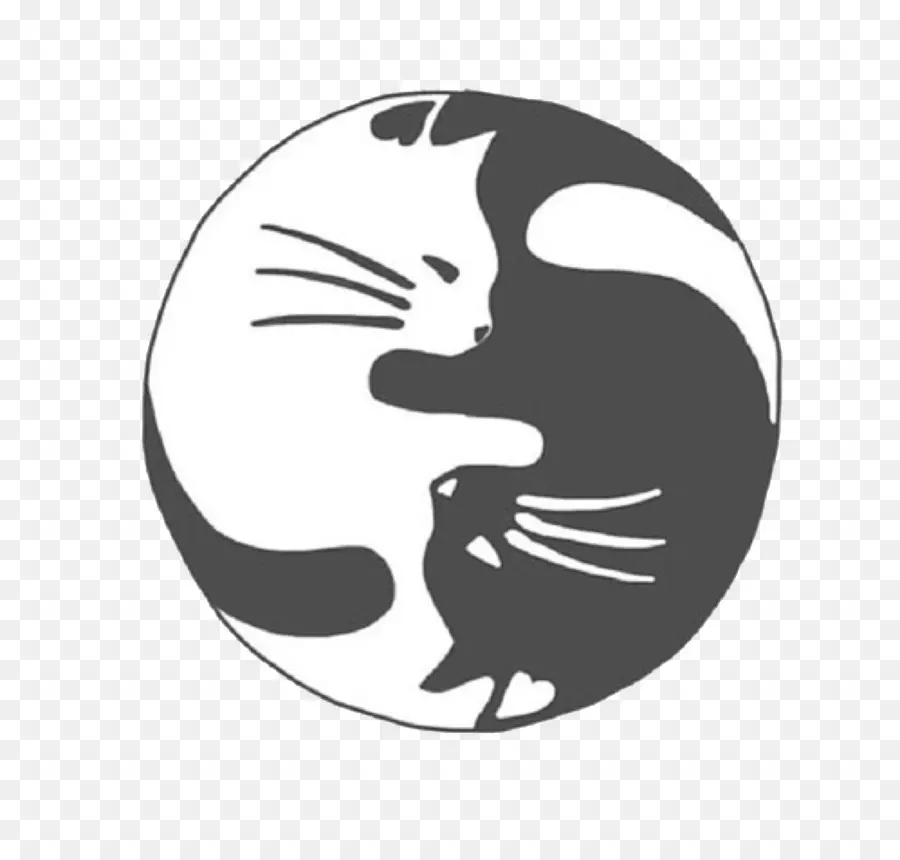 Gato，Gatito PNG