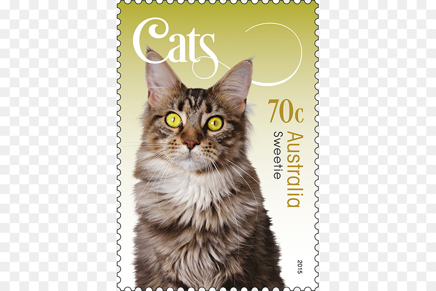 Maine Coon，Bigotes PNG