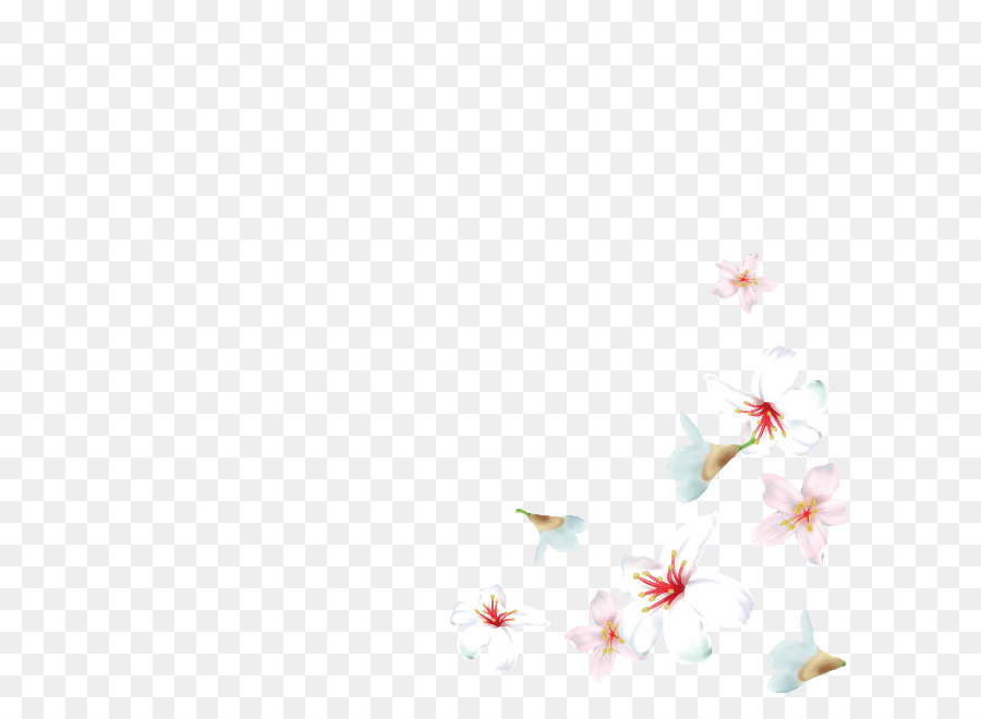 De Los Cerezos En Flor，Fondo De Escritorio PNG