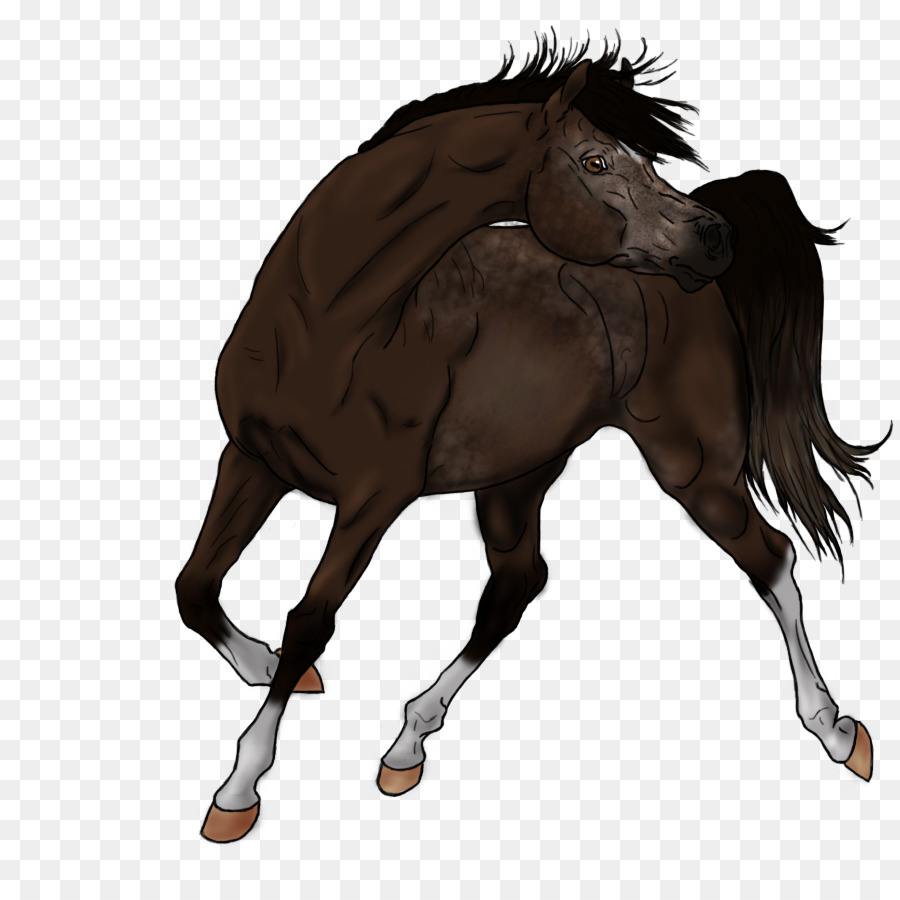 Caballos，Potro PNG