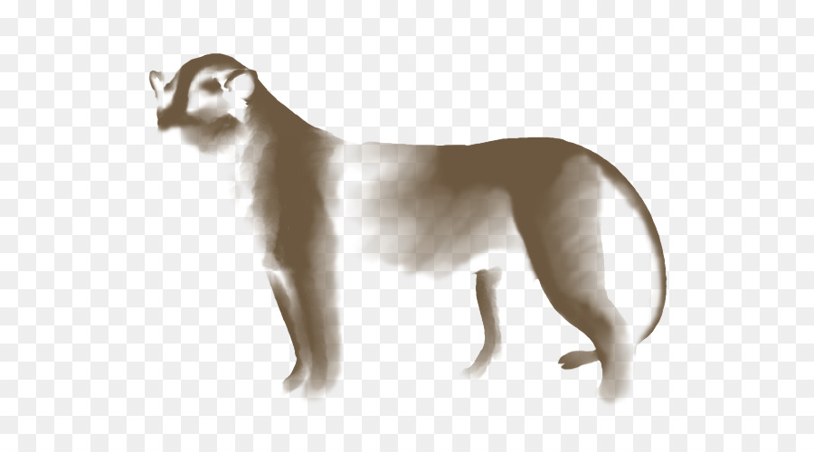 Gato，Whippet PNG