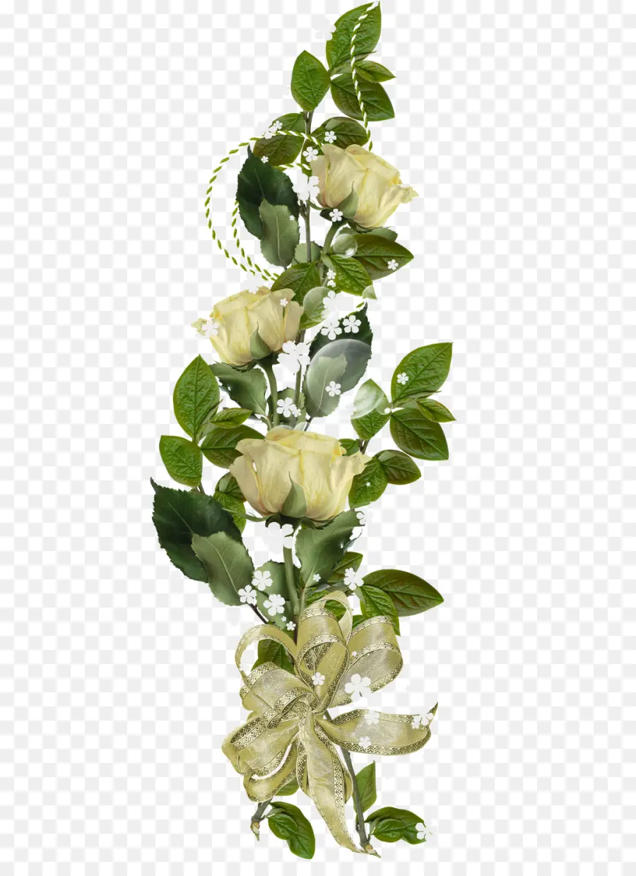 Rosas Blancas，Ramo PNG