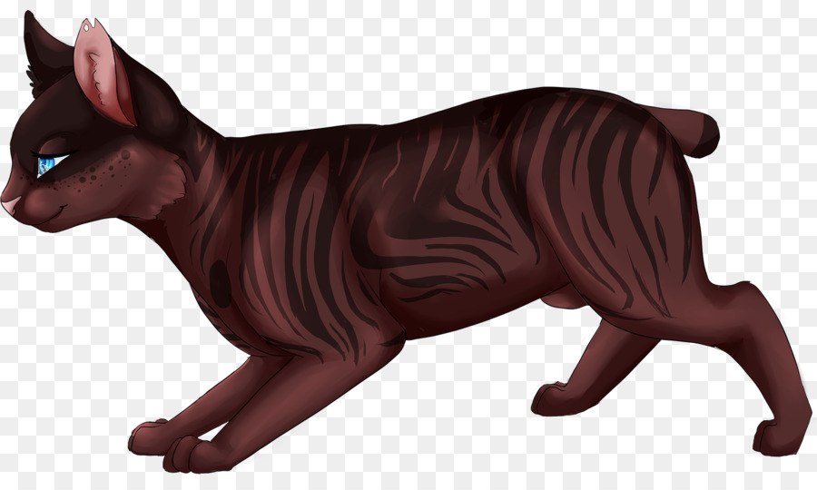 Gato Sphynx，Manx Cat PNG