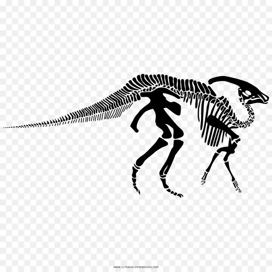 Parasaurolophus，Esqueleto PNG