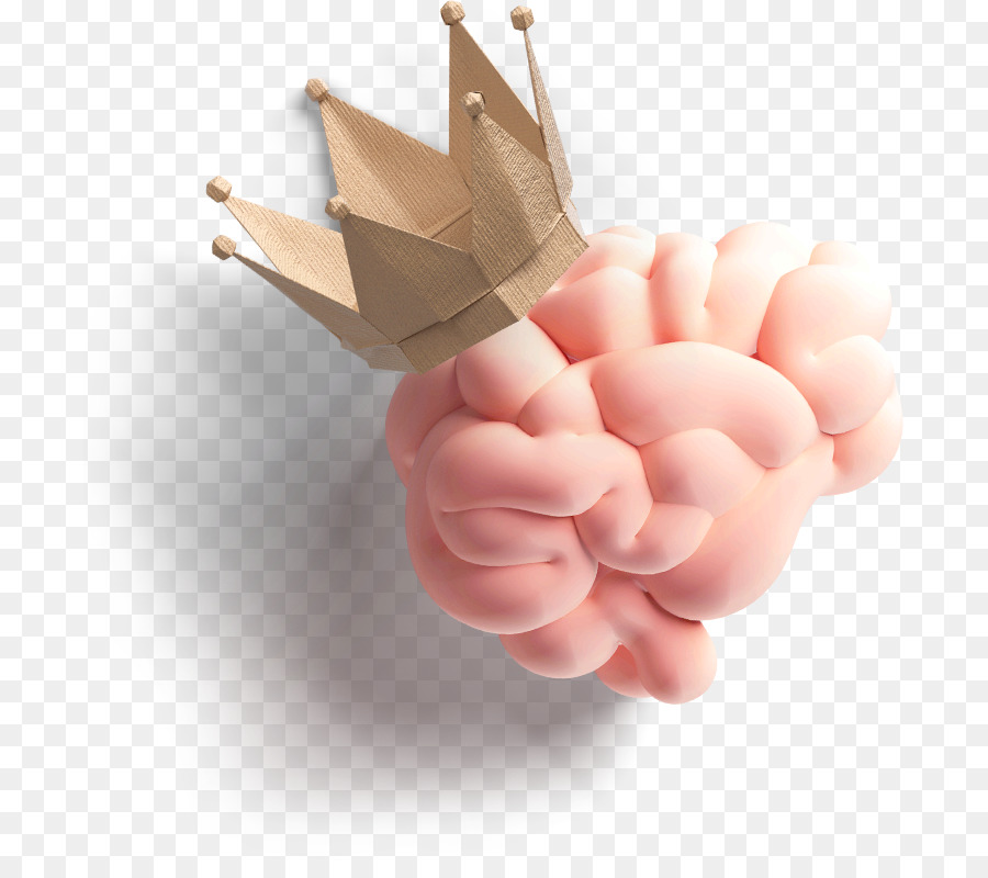 Cerebro Con Corona，Inteligencia PNG